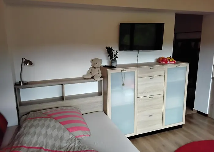 Einzelzimmer Miniloft Апартаменты Бад-Шандау